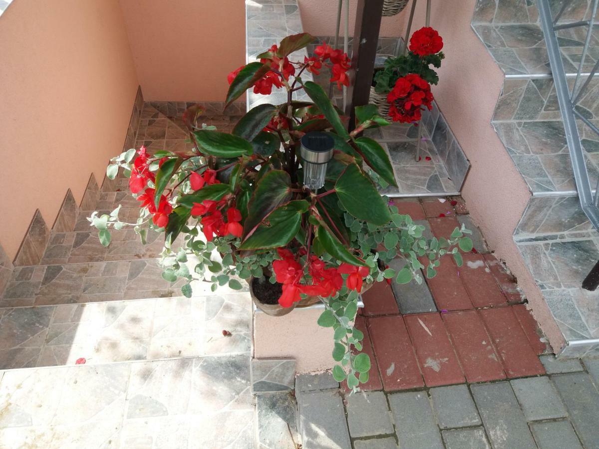 Beata Vendeghaz Hotell Tokaj Exteriör bild